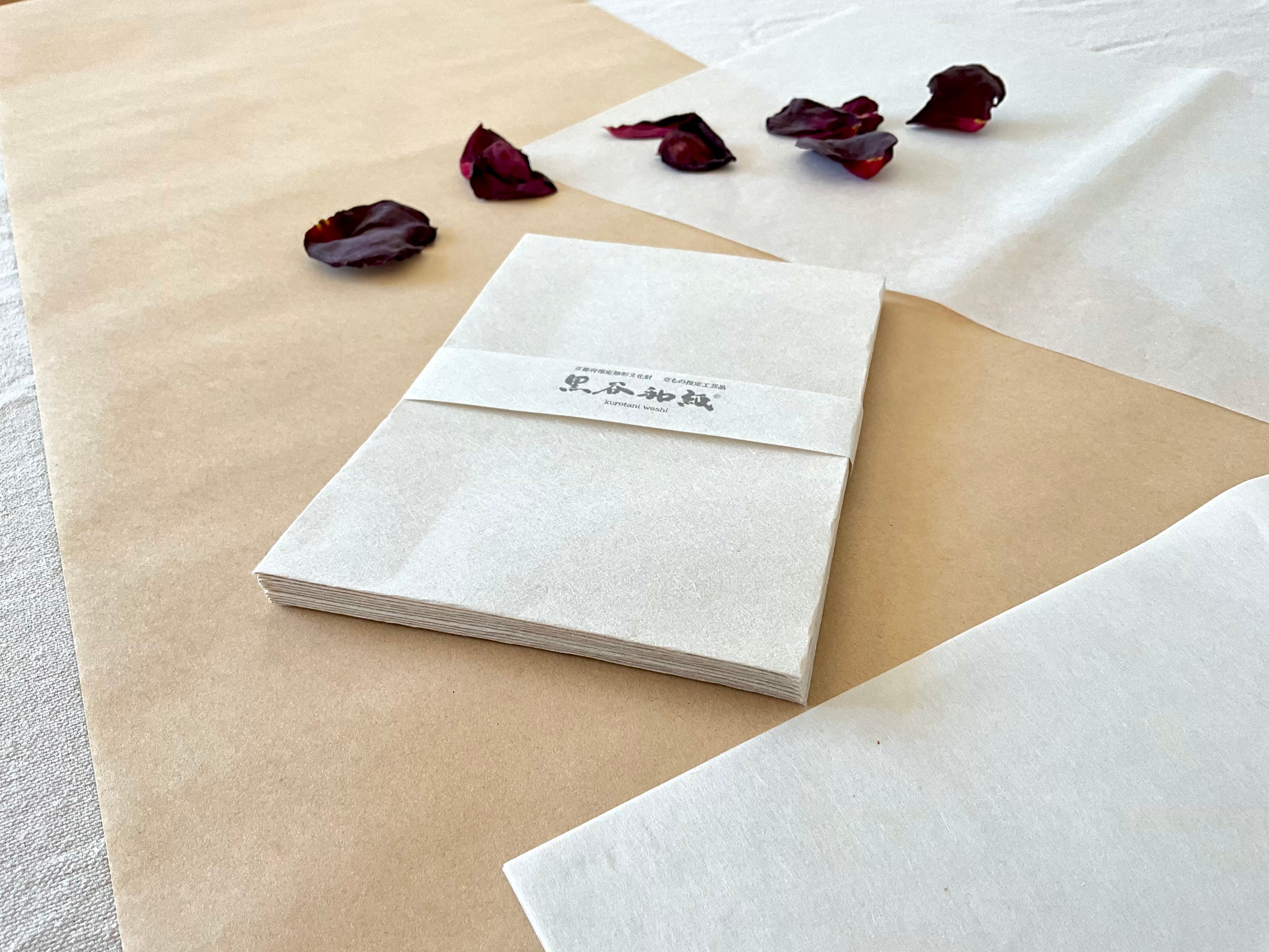 Kurotani washi envelope pack sealed with paper band on neutral layered background