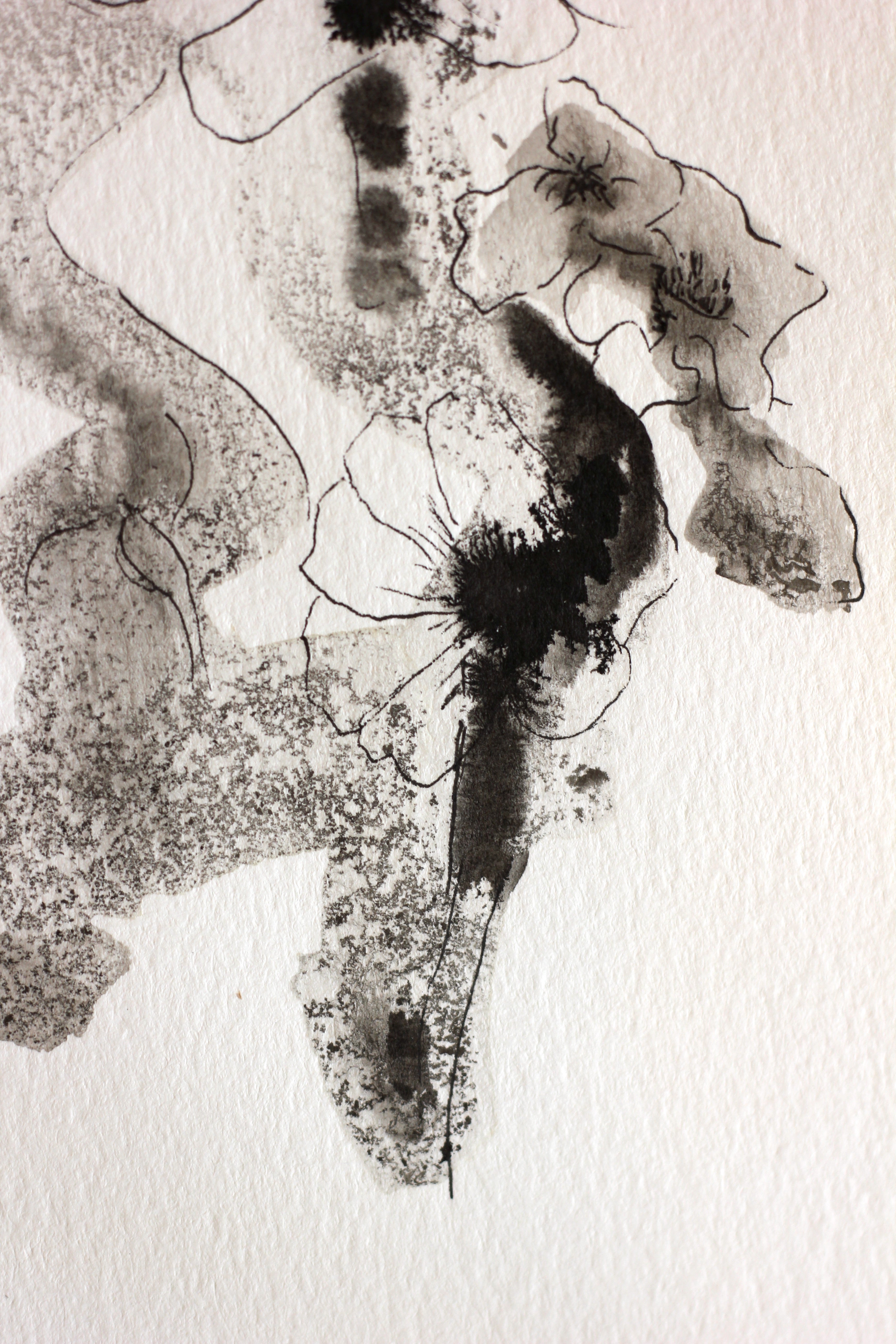Sumi-e Inspired Floral - Original Ink Drawing A5