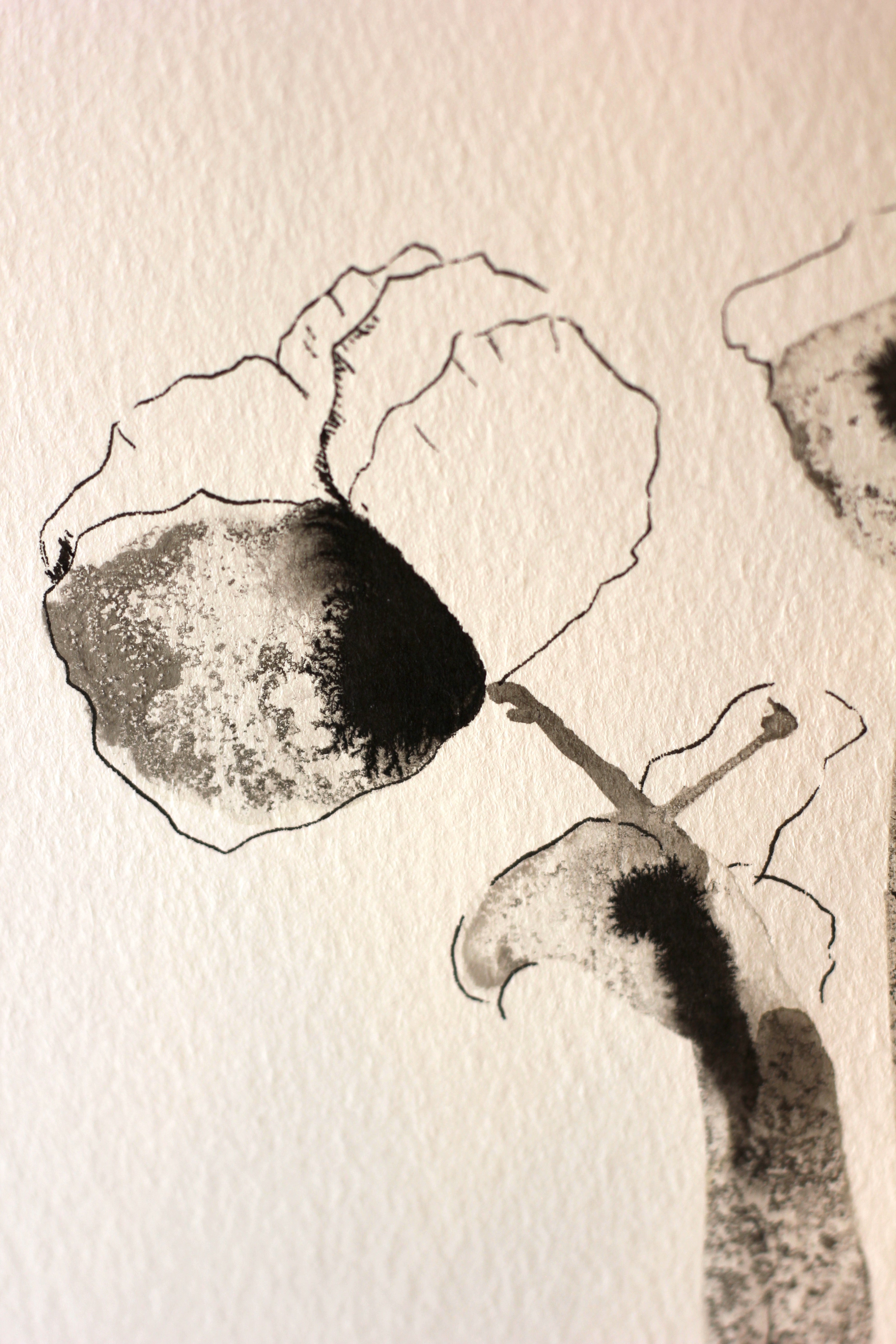 Sumi-e Inspired Floral - Original Ink Drawing A5